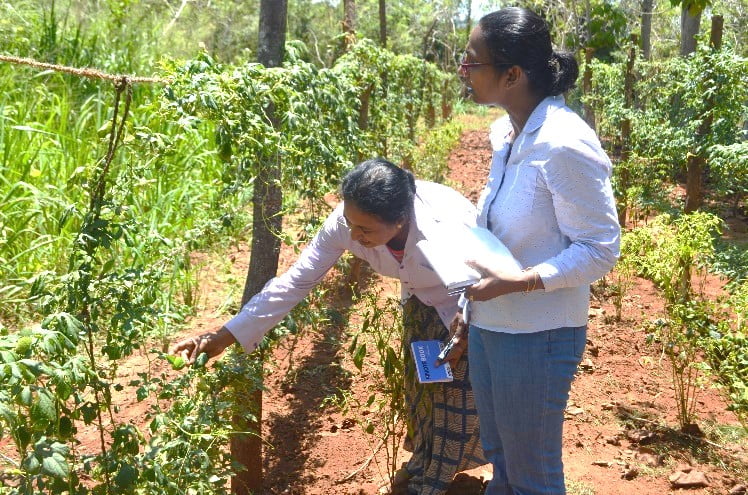 Inspecting farmers fields in Wellawaya
